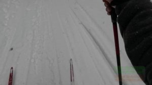 зимняя прогулка на лыжах