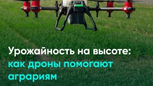 Урожайность на высоте как дроны помогают аграриям