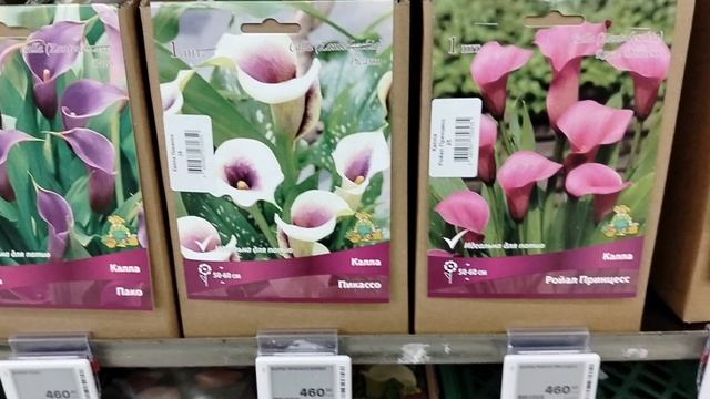 Лемана Про открыл дачный сезон 2026. Лилии астильбы бегонии георгины ирисы каллы и ещё