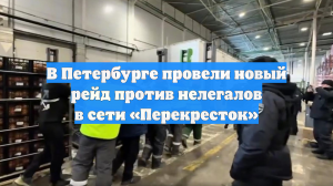 В Петербурге провели новый рейд против нелегалов в сети «Перекресток»