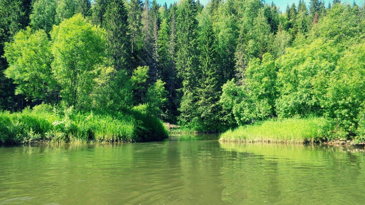 1-Что_говорили_старцы_нашего_времениО_документах_инн_паспорт_рф смотреть онлайн