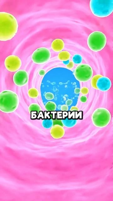 што делает чеснок с вашим организмам