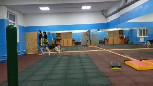 Фиелисс Ульба