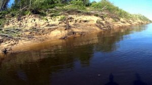 Лето, солнце щука))