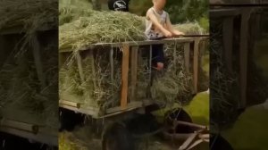 До чего только не могут додуматься люди!