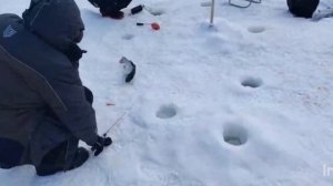 Спортзона.Поимки.Часть 2