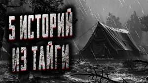 5 историй из тайги. Страшные истории на ночь. Мистика. Страшилки на ночь.