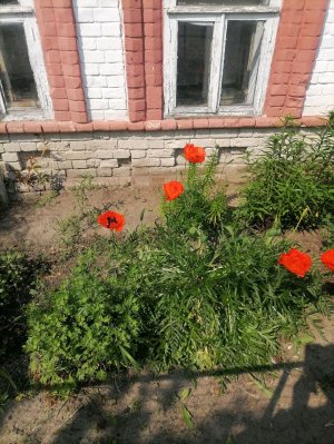 Вторник 10 февраля.. Но не расслабляемся до 15 марта зима😁☹️