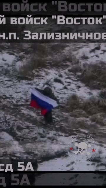 Подразделения группировки Восток освободили Зализничное Запорожская обл.