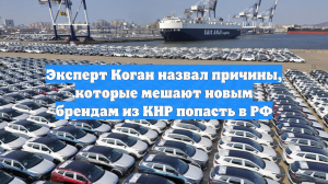 Эксперт Коган назвал причины, которые мешают новым брендам из КНР попасть в РФ