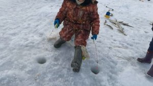 Крутая рыбалка / 10 февраля 2026 года / Стародубск