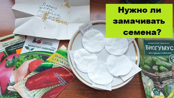 Почему я не замачиваю семена для прорастания? Есть две причины! смотреть онлайн