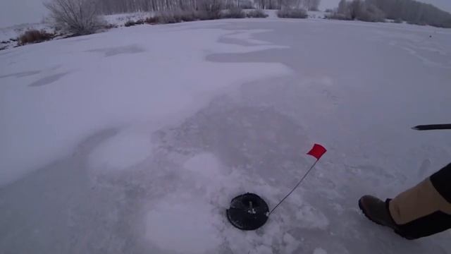 ОСТАВИЛ ЖЕРЛИЦЫ НА НОЧЬ В ДИКОМ ОМУТЕ И ЗАДОЛБАЛСЯ... Рыбалка на опасном льду. смотреть онлайн