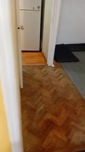 1000038987.mp4 смотреть онлайн