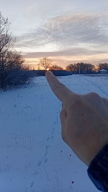 20260210_075544 смотреть онлайн