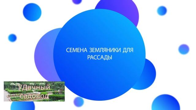 что можно  сеять в феврале