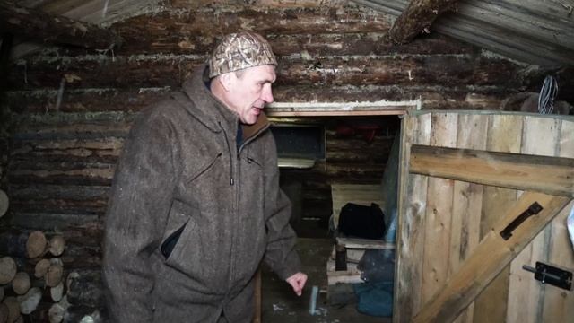 Живу в тайге. Добыл лося. Охота с подхода. смотреть онлайн