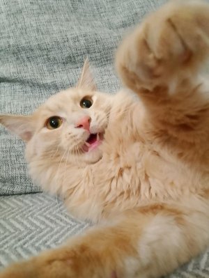 распаковка