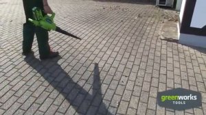 Обзор садовой воздуходувки-пылесоса GREENWORKS GD40BV