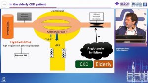 Kidney injury managementin the elderly CKD patient Stéphane Gaudry
