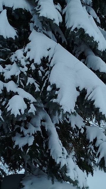 Снежная лошадка смотреть онлайн