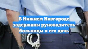 В Нижнем Новгороде задержаны руководитель больницы и его дочь