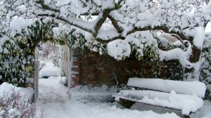 Заснеженный двор на 10 февраля