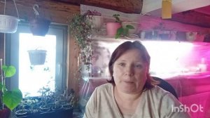 /137/ Жизнь в деревне.Сьездили. в больницу, всё зря.