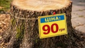 Украинские приставы конфисковали у должника пень