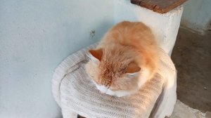 Вот сколько серебра привалило! ❄❄❄Чистим и не ленимся! Юг России! ☕🍋