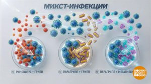 Коктейль из вирусов? Спасибо, не надо! Доброе утро. Фрагмент выпуска от 10.02.2026