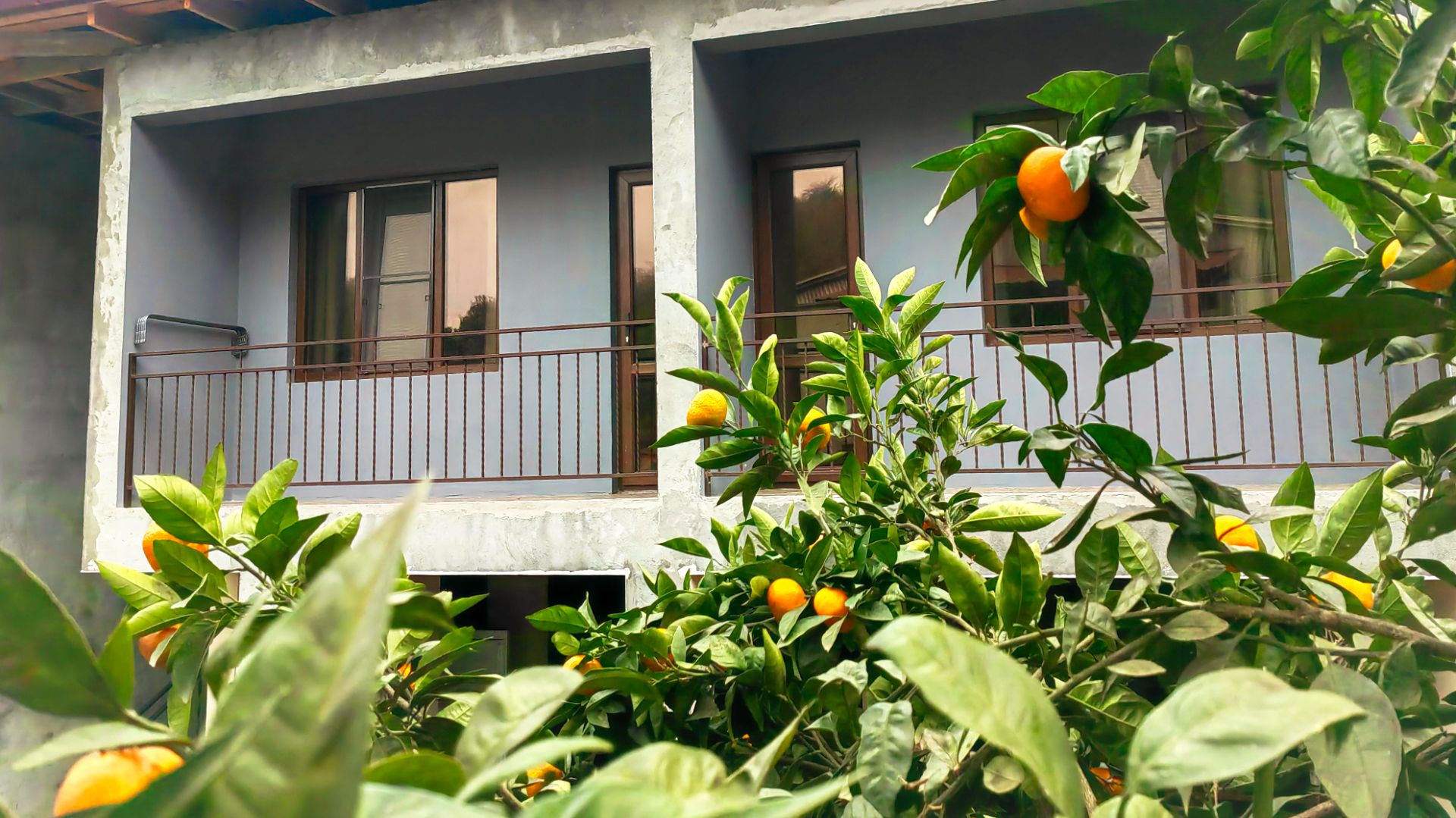 "БАНАН И ФУНДУК" гостевой дом (Лдзаа, Абхазия) смотреть онлайн