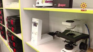 В Чувашии внедряют пилотный проект по ранней профориентации «Детсад-школа-ссуз/вуз-предприятие»