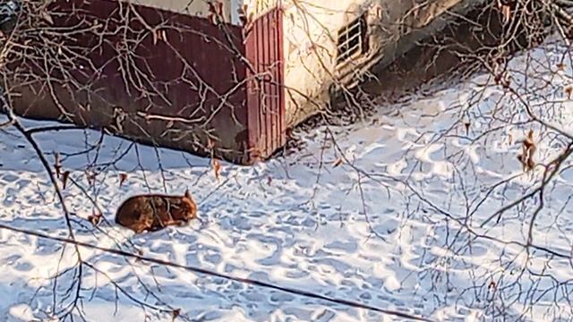 1000022869.mp4 смотреть онлайн