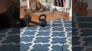 Это я начинаю готовиться к лету