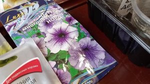 ПЕТУНИИ. МОЙ ВЫБОР.