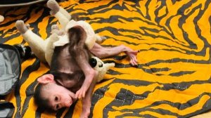 У Николь сегодня ГИПЕР АКТИВНОЕ состояние, она бегает как электровеник😂