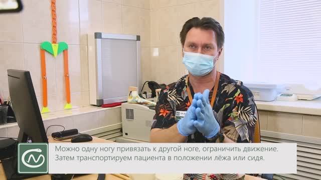СМ-Доктор Правила оказания первой помощи детям при переломах руки и ноги 2021