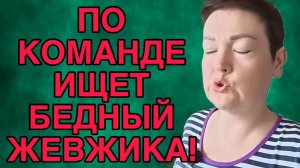 ПО КОМАНДЕ ИЩЕТ ЖЕВЖИКА. ПИРАТСКАЯ ЖИЗНЬ. ОБЗОР.