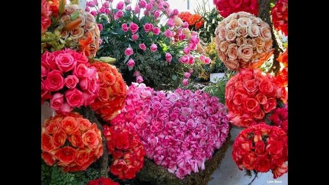 ЛУННАЯ СОНАТА Людвиг Бетховен фото видео Татьяна Талызина