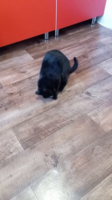 1000081289.mp4 смотреть онлайн