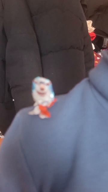 Буба гугу гага