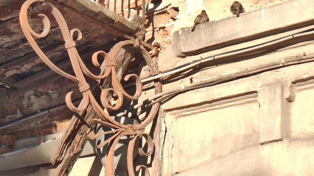 воробьиная перепись 7 смотреть онлайн