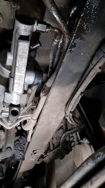 Носок теперь серый ждем извинений 