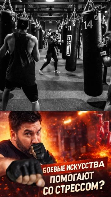Боевые исскуства против стресса
