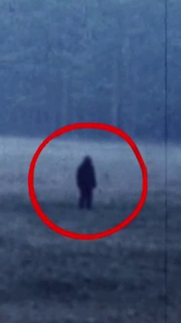 ДЕЛО 113. КОНТАКТ. 1977 ГОД