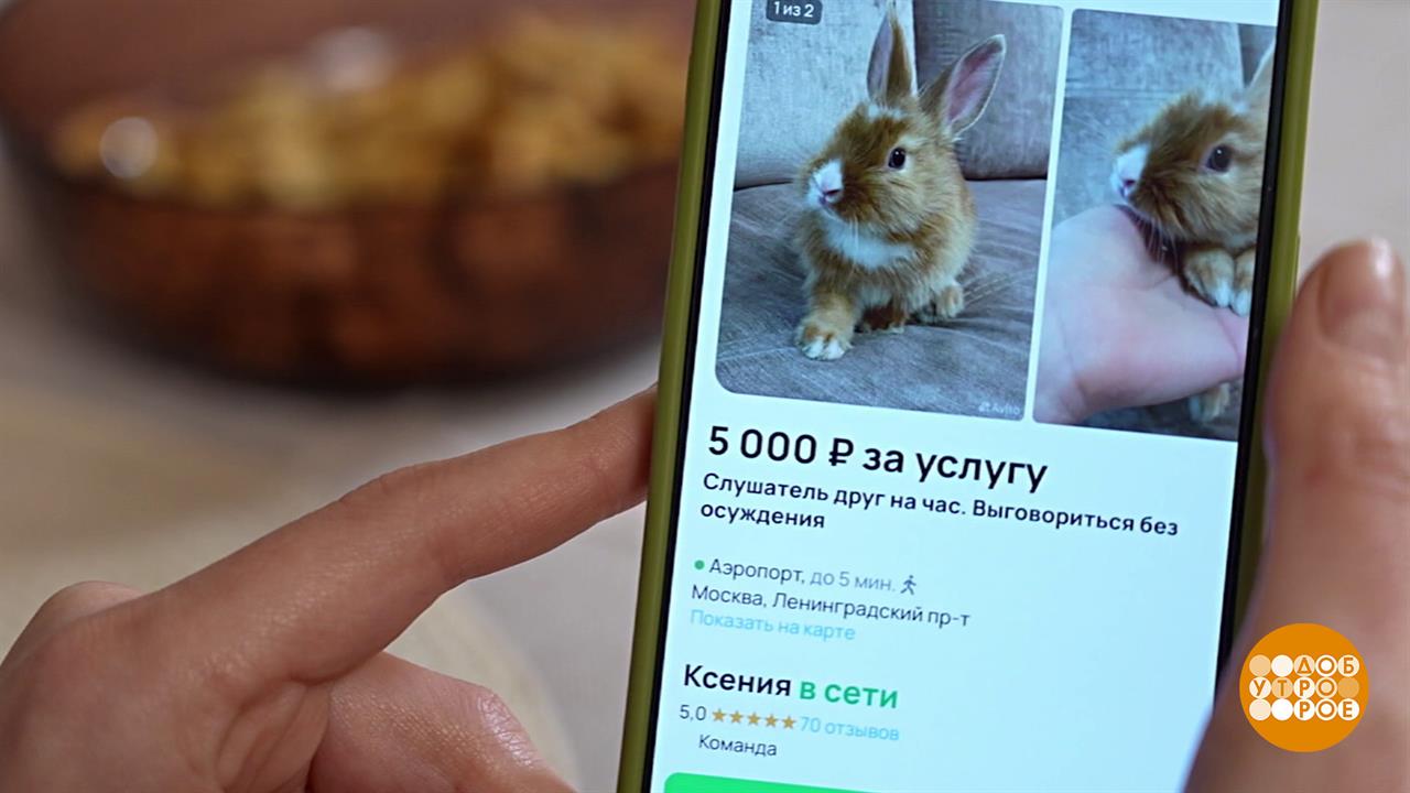 Крольчонок - двигатель торговли! В интернете. Доброе утро. Фрагмент выпуска от 11.02.2026 смотреть онлайн