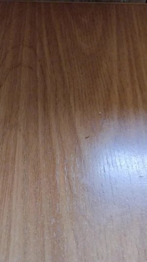 😊👋❄️☕✌️