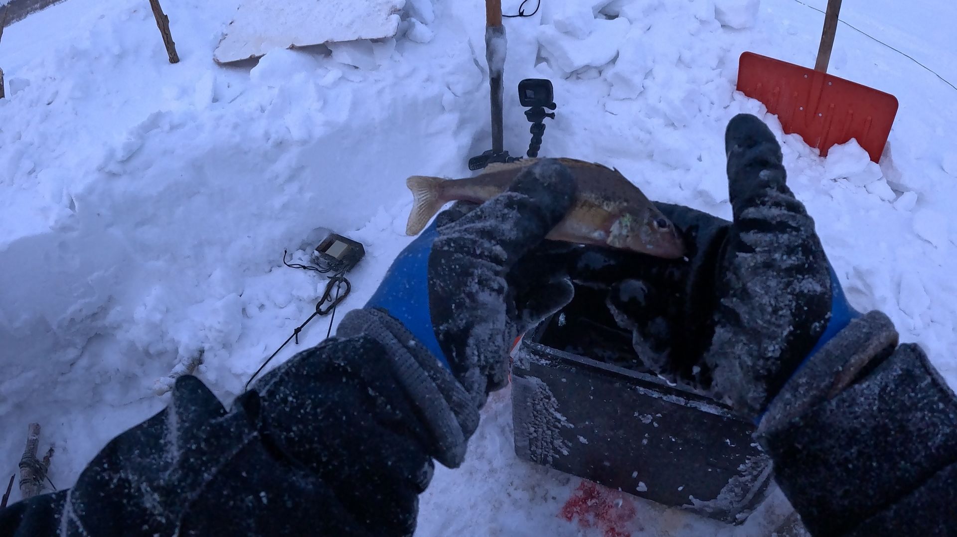 Кто клюнул на огромного ерша  Перемет на налима  Проверка 10.02.2026