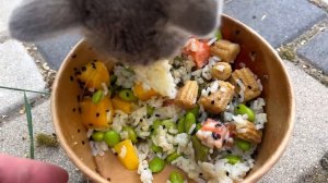 ОСЛОЖНЕНИЯ после драки у хаски Рокки / Кровь в спине у собаки